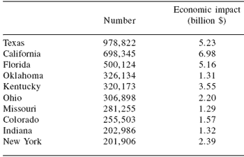 Horses remain firmly in the saddle in US culture - Image 3