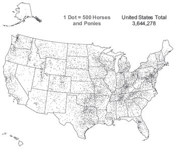 Horses remain firmly in the saddle in US culture - Image 4