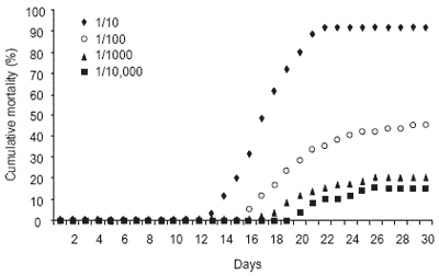 Reduced mortality in Atlantic salmon fed diets supplemented with nucleotides - Image 3