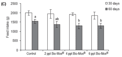 Does feeding Bio-Mos® enhance immune system function and disease resistance in European sea bass (Dicentrarchus labrax)? - Image 21