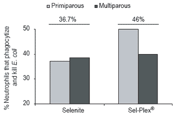 Effect of selenium source on production, reproduction and immunity of lactating dairy cows in Florida and California - Image 4