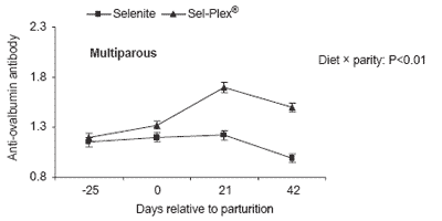 Effect of selenium source on production, reproduction and immunity of lactating dairy cows in Florida and California - Image 5