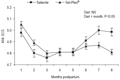 Effect of selenium source on production, reproduction and immunity of lactating dairy cows in Florida and California - Image 13