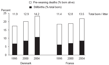 The issue of colostrum in piglet survival: energy and immunity - Image 1