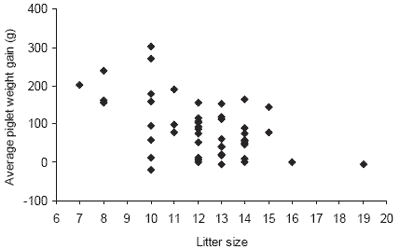 The issue of colostrum in piglet survival: energy and immunity - Image 6