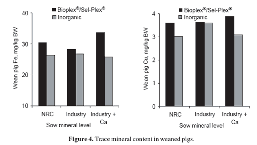 Enhancing sow reproductive performance by organic trace mineral (Bioplex® and Sel-Plex®) dietary inclusion - Image 5