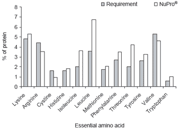Functional foods for aquaculture: benefits of NuPro® and dietary nucleotides in aquaculture feeds - Image 2