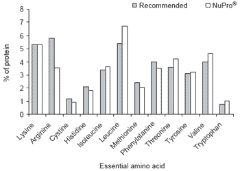Functional foods for aquaculture: benefits of NuPro® and dietary nucleotides in aquaculture feeds - Image 3