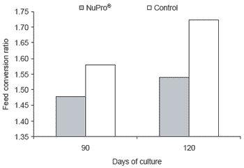 Functional foods for aquaculture: benefits of NuPro® and dietary nucleotides in aquaculture feeds - Image 5