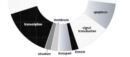 Nutrigenomics in aquaculture research: a key in the ‘Aquanomic’ revolution - Image 7