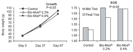 Improving growth performance and health status of aquaculture stocks in Europe through the use of Bio-Mos - Image 1
