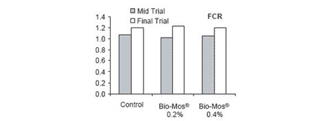 Improving growth performance and health status of aquaculture stocks in Europe through the use of Bio-Mos - Image 2