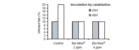 Improving growth performance and health status of aquaculture stocks in Europe through the use of Bio-Mos - Image 9