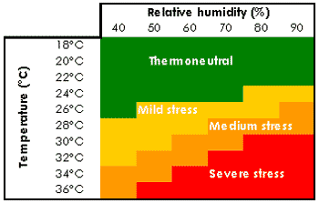 Heat stress in dairy cows: implications and nutritional management - Image 1