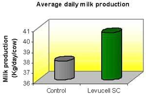 Heat stress in dairy cows: implications and nutritional management - Image 6