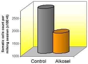 Heat stress in dairy cows: implications and nutritional management - Image 10