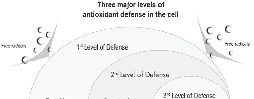 Control of fertility in turkeys: the impact of environment, nutrition and artificial insemination technology - Image 3