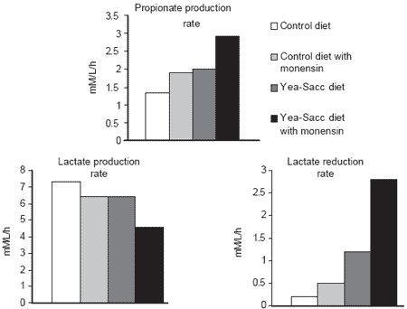 The use of complementary tools, monensin and Yea-Sacc®1026, to synergistically modify ruminal functions and improve the performance of dairy cattle - Image 3