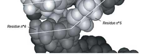 Reducing mycotoxin impact: the science behind Mycosorb - Image 11