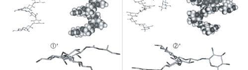 Reducing mycotoxin impact: the science behind Mycosorb - Image 12