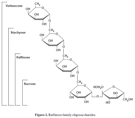 Production economics and pig health: use of AllzymeTM Vegpro in feed formulation - Image 4