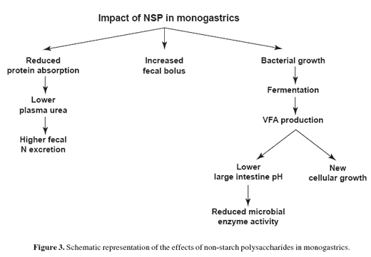 Production economics and pig health: use of AllzymeTM Vegpro in feed formulation - Image 5