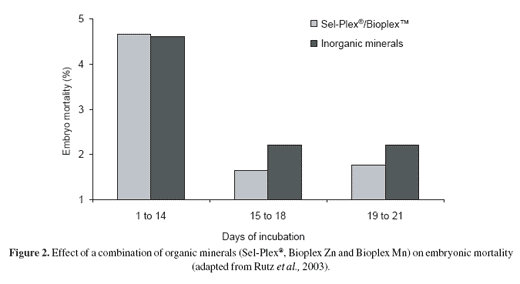 Following response to Sel-Plex® and other organic minerals through the broiler breeder maze: case studies in Brazil - Image 7