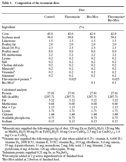 Effect of hen age, Bio-Mos and Flavomycin on susceptibility of turkey poults to oral Escherichia coli challenge - Image 3