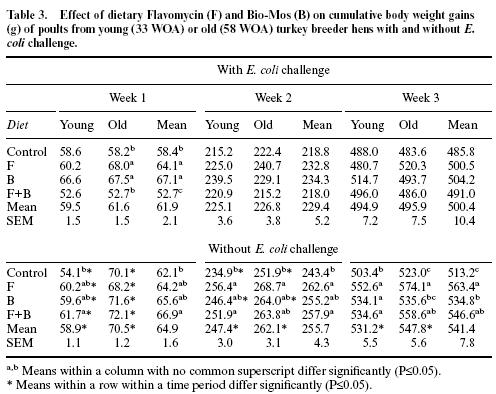 Effect of hen age, Bio-Mos and Flavomycin on susceptibility of turkey poults to oral Escherichia coli challenge - Image 5