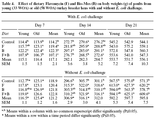 Effect of hen age, Bio-Mos and Flavomycin on susceptibility of turkey poults to oral Escherichia coli challenge - Image 6