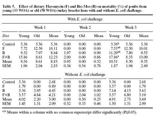 Effect of hen age, Bio-Mos and Flavomycin on susceptibility of turkey poults to oral Escherichia coli challenge - Image 7