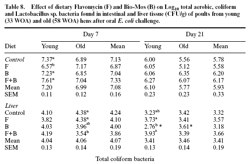 Effect of hen age, Bio-Mos and Flavomycin on susceptibility of turkey poults to oral Escherichia coli challenge - Image 10