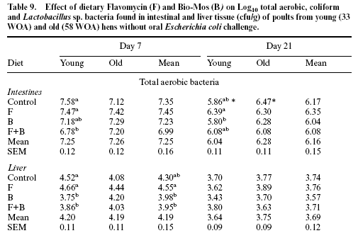 Effect of hen age, Bio-Mos and Flavomycin on susceptibility of turkey poults to oral Escherichia coli challenge - Image 13