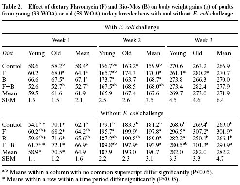 Effect of hen age, Bio-Mos and Flavomycin on susceptibility of turkey poults to oral Escherichia coli challenge - Image 4