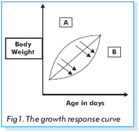 Formulating Feed for Broiler Performance - Image 9