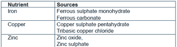 Manufacturing a Quality Premix - Image 6