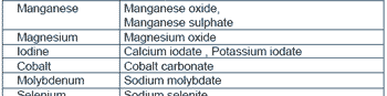 Manufacturing a Quality Premix - Image 7