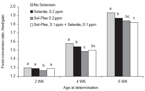 Involvement of Sel-Plex in physiological stability and performance of broiler chickens - Image 4