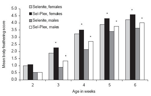 Involvement of Sel-Plex in physiological stability and performance of broiler chickens - Image 5
