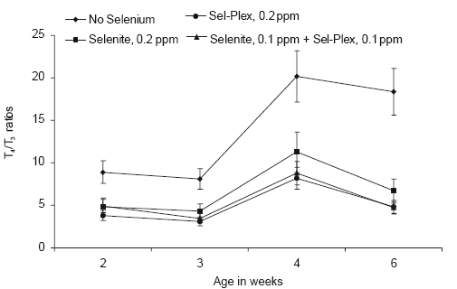 Involvement of Sel-Plex in physiological stability and performance of broiler chickens - Image 12