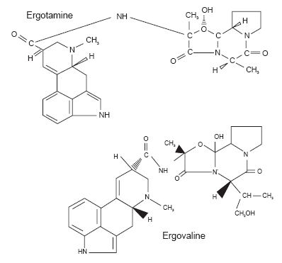 The ability of Mycosorb to bind toxins present in endophyte-infected tall fescue - Image 2