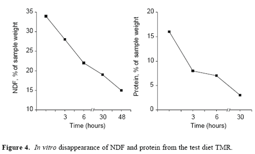 Fibrozyme and in vitro NDF response: moving from theory to practical commercial reality - Image 11