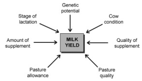 Forage utilization efficiency: an Australian perspective - Image 1