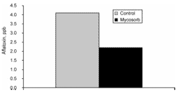 Nutritional approaches to reduce the impact of mycotoxins - Image 2