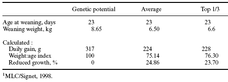 Bridging the gap between genetic potential and on-farm performance in commercial pigs - Image 3