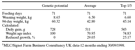 Bridging the gap between genetic potential and on-farm performance in commercial pigs - Image 4