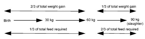 Bridging the gap between genetic potential and on-farm performance in commercial pigs - Image 9