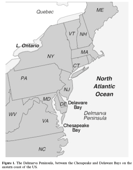 Phytase applications in commercial broiler diets in Maryland - Image 1