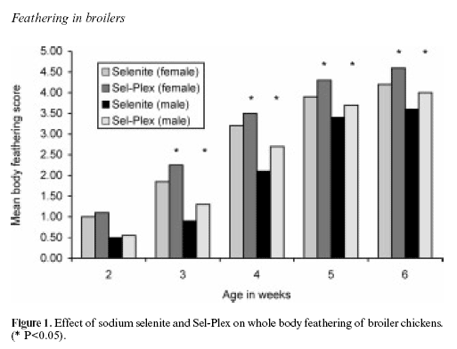 The effects of conventional versus cage housing and inorganic versus organic selenium on feathering in broilers - Image 2