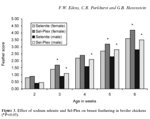 The effects of conventional versus cage housing and inorganic versus organic selenium on feathering in broilers - Image 4